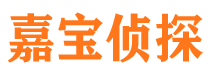 武清市侦探公司